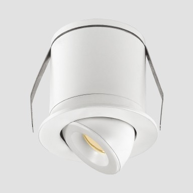 Recessed Directional Downlights